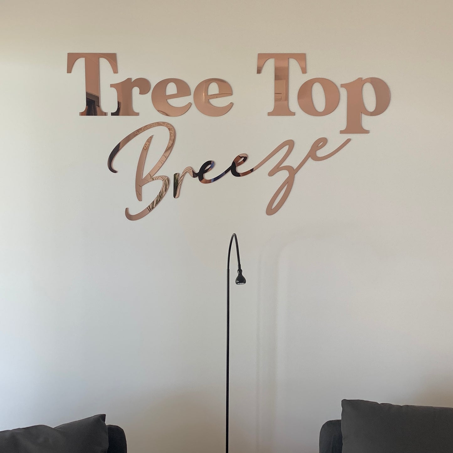 Laser Cut Wall Lettering